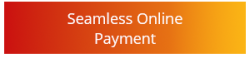 Seamless online payment